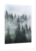 Misty Forest - Foto op Dibond - 30 x 40 cm