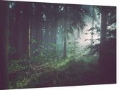 Lichtstralen door het bos bij dauw - Foto op Dibond - 90 x 60 cm