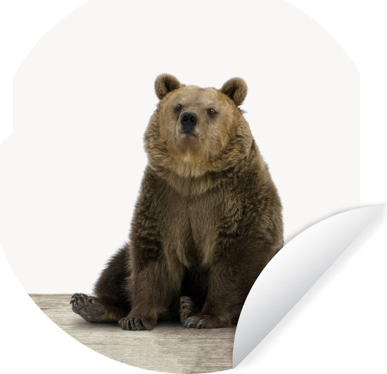 WallCircle - Stickers muraux - Cercle de papier peint - Ours - Grizzly -  Animaux 