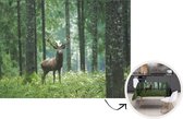 Tafelkleed - Tafellaken - 200x150 cm - Hert - Bos - Bomen - Dieren - Natuur - Binnen en Buiten