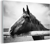 MuchoWow® Glasschilderij - Paard - Hek - Zwart - Wit - 180x120 cm - Acrylglas Schilderijen - Foto op Glas