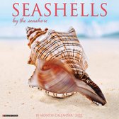 Sea Shells Kalender 2022