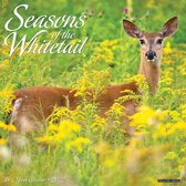 Seasons of the Whitetail Kalender 2022