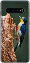 Geschikt voor Samsung Galaxy S10 hoesje - Close-up van een kleurrijke vogel op de zijkant van een boomstronk - Siliconen Telefoonhoesje