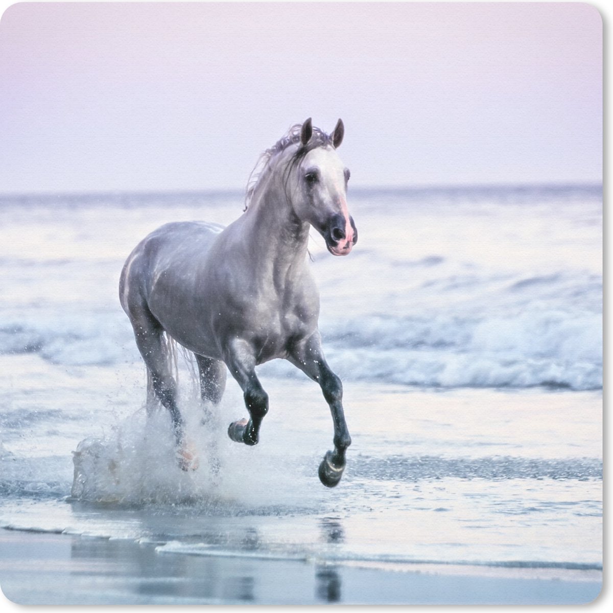 Muismat 20x20 cm - Mousepad Paard - Schimmel - Strand - Muismatten