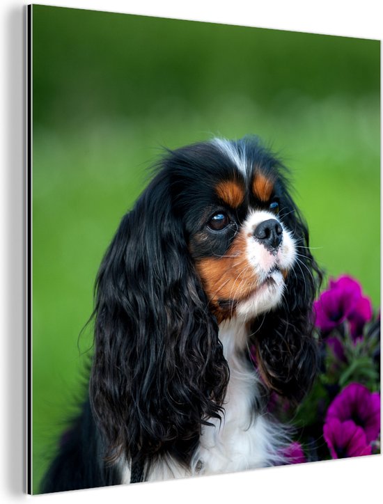 Wanddecoratie Metaal - Aluminium Schilderij Industrieel - Cavalier King Charles-spaniël met paarse bloemen - 20x20 cm - Dibond - Foto op aluminium - Industriële muurdecoratie - Voor de woonkamer/slaapkamer