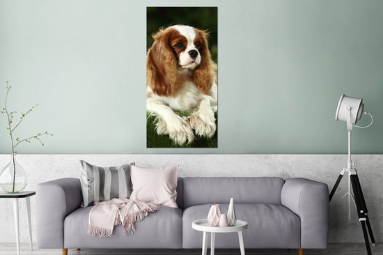 Wanddecoratie Metaal - Aluminium Schilderij Industrieel - Portret van een Cavalier King Charles-spaniël - 80x160 cm - Dibond - Foto op aluminium - Industriële muurdecoratie - Voor de woonkamer/slaapkamer