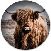 Tuincirkel Schotse Hooglander in kleur - WallCatcher | Tuinposter rond 60 cm | Buiten muurcirkel Highlander