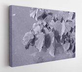 Tropische bladeren achtergrond - Modern Art Canvas - Horizontaal - 330230774 - 50*40 Horizontal