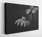 Onlinecanvas - Schilderij - Zwart-witte Bloemen Art Horizontaal Horizontal - Multicolor - 115 X 75 Cm