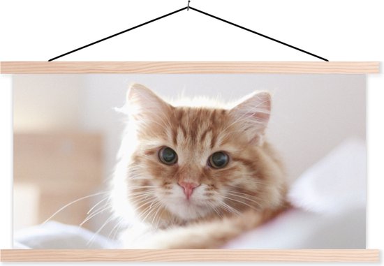 Porte-affiche avec affiche - Affiche scolaire - Chat - Rouge - Lit - Filles - Enfants - Garçons - Kids - 150x75 cm - lattes vierges