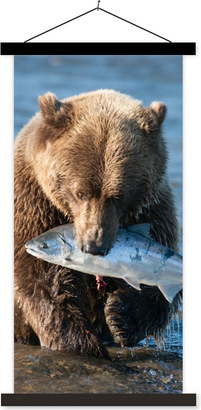 Porte-affiche avec affiche - Affiche scolaire - Ours - Marron - Poisson - 60x120 cm - Lattes noires