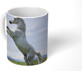 Mok - Koffiemok - Paard - Steigeren - Natuur - Mokken - 350 ML - Beker - Koffiemokken - Theemok