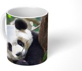 Mok - Koffiemok - Panda - Puppy - Boom - Mokken - 350 ML - Beker - Koffiemokken - Theemok