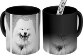 Magische Mok - Foto op Warmte Mok - Gezichtsuitdrukkingen van de Samoyeed - zwart wit - 350 ML