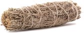 Mountain Sage 10 cm