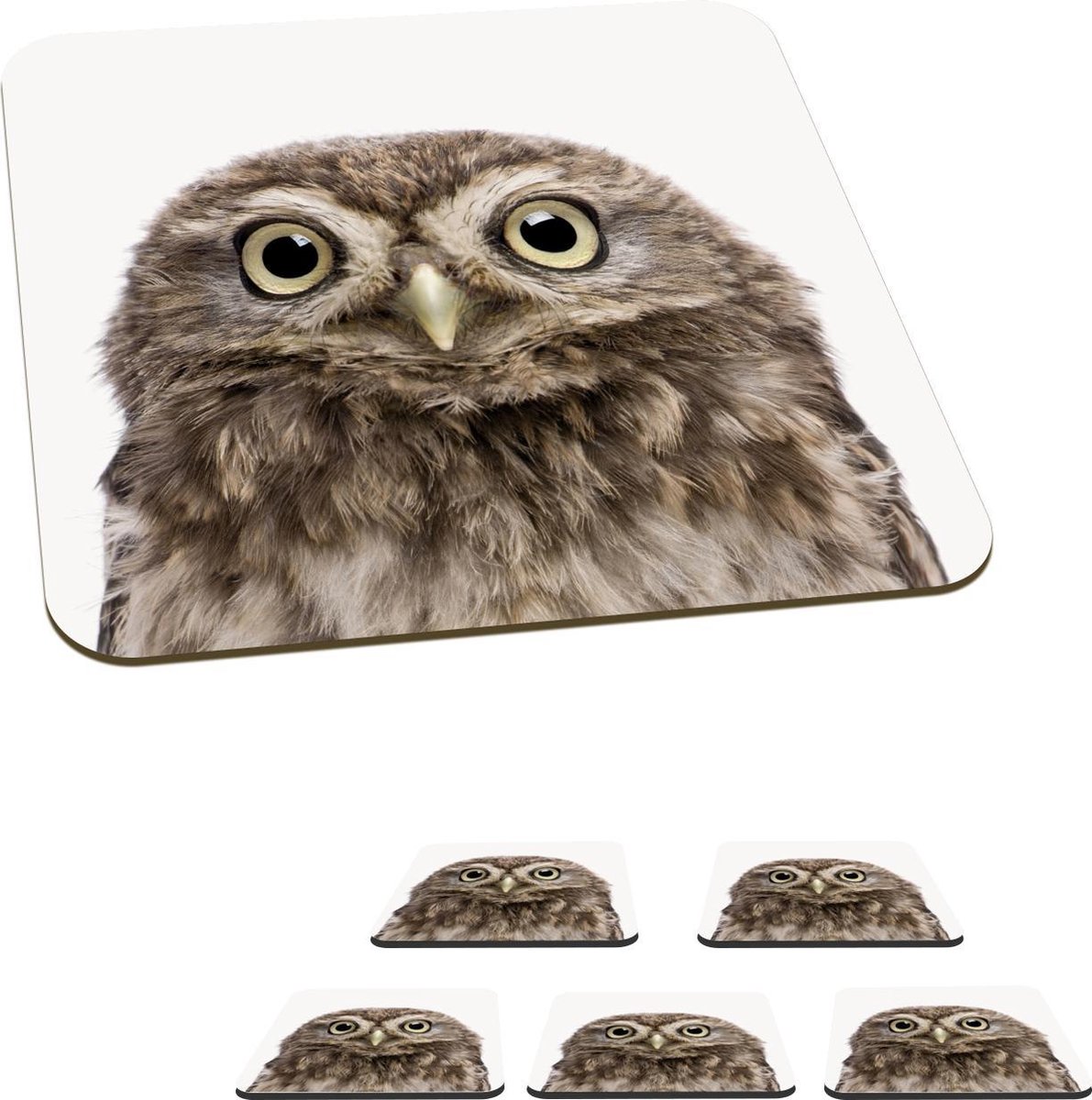 Onderzetters voor glazen - Dieren - Uil - Wit - 10x10 cm - Glasonderzetters - 6 stuks