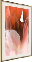 Poster Tulip Petals 30x45