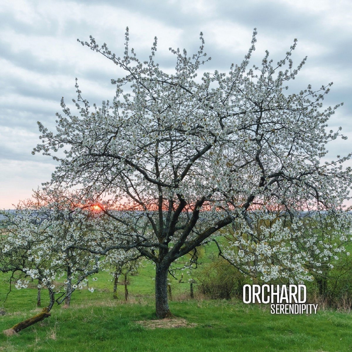Orchard (Aidan Baker, Gaspar Claus, Franck Laurino) - Serendipity (2 LP)