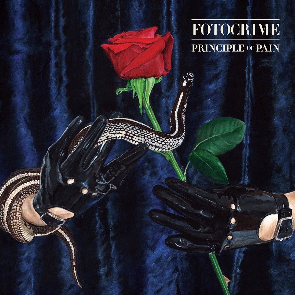 Fotocrime - Principle Of Pain (LP)
