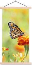 Posterhanger incl. Poster - Schoolplaat - Monarchvlinder op bloem - 60x120 cm - Blanke latten