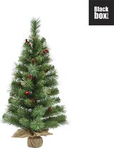 Black Box Trees - Warth kerstboom met burlap groen TIPS 81 - h90xd45cm - Kerstbomen