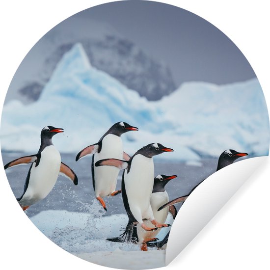 Cercle de papier peint - Des pingouins sautent hors de l'eau - ⌀ 120 cm - Cercle de mur - Autocollant - Sticker papier peint XXL