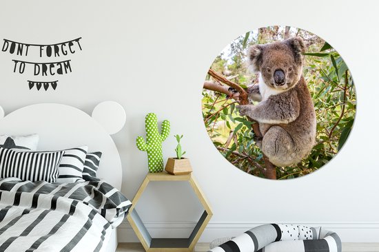 WallCircle - Wandcirkel ⌀ 140 - Koala - Boom - Bladeren - Kinderen - Jongens - Meiden - Ronde schilderijen woonkamer - Wandbord rond - Muurdecoratie cirkel - Kamer decoratie binnen - Wanddecoratie muurcirkel - Woonaccessoires