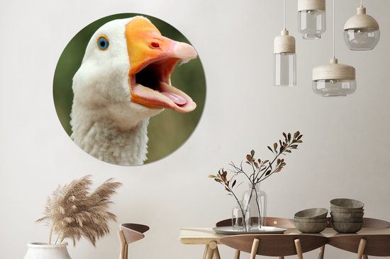 Gros plan d'une assiette en plastique de cercle de mur d'oie d'oie - ⌀ 140 cm - peinture ronde - impression photo sur cercle mural en plastique (forex) / cercle vivant / (décoration murale)
