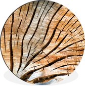 Cercle mural - Cercle mural - Coupe transversale d'un tronc d'arbre - Aluminium - Dibond - ⌀ 120 cm - Intérieur et Extérieur XXL