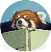WallCircle - Wandcirkel ⌀ 30 - Panda - Hout - Rood - Ronde schilderijen woonkamer - Wandbord rond - Muurdecoratie cirkel - Kamer decoratie binnen - Wanddecoratie muurcirkel - Woonaccessoires