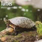 Schildpadden Kalender 2022