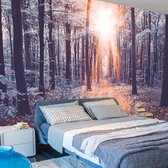 Zelfklevend fotobehang -  Randje van Zonlicht in een bos  , Premium Print