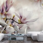 Zelfklevend fotobehang -  Wit Roze Magnolia's  , Premium Print