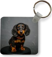 Sleutelhanger - Uitdeelcadeautjes - Studio foto van teckel puppy - Plastic