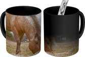 Magische Mok - Foto op Warmte Mok - Grazend fjord paard bij een boerderij - 350 ML