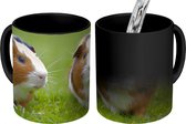 Magische Mok - Foto op Warmte Mokken - Koffiemok - Twee cavia's - Magic Mok - Beker - 350 ML - Theemok