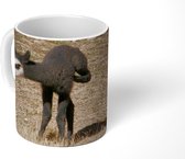 Mok - Koffiemok - Alpaca - Zwart - Wit - Mokken - 350 ML - Beker - Koffiemokken - Theemok