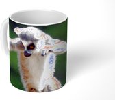 Mok - Aap - Ringstaartmaki - Boom - 350 ML - Beker