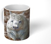 Mok - Een wombat tussen de herfstbladeren - 350 ML - Beker