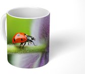 Mok - Lieveheersbeestje op een bloem - 350 ML - Beker