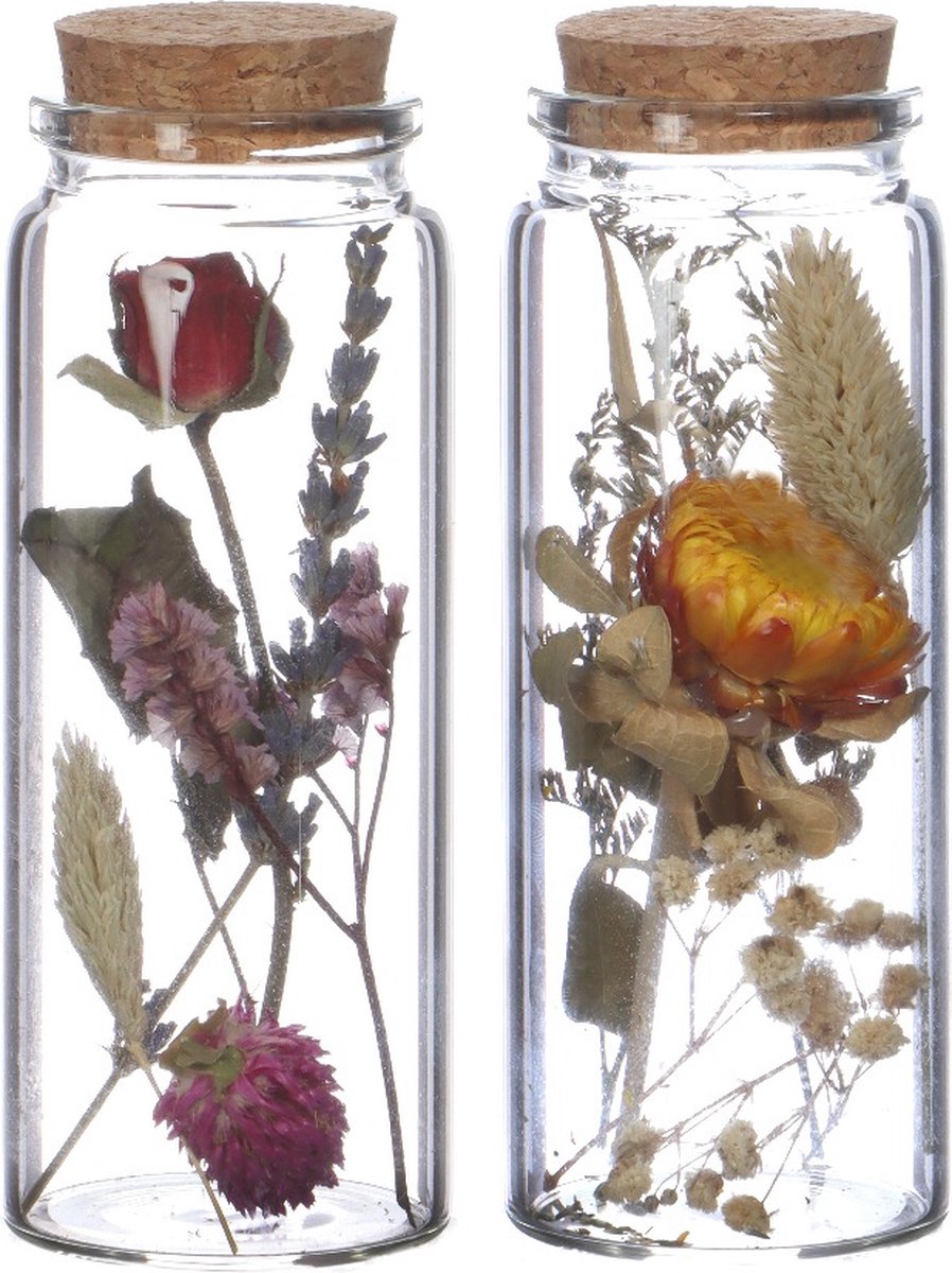 Glazen buis met 2 diverse droogbloemen Ø4.5cm. H: 12.5cm - 12 st