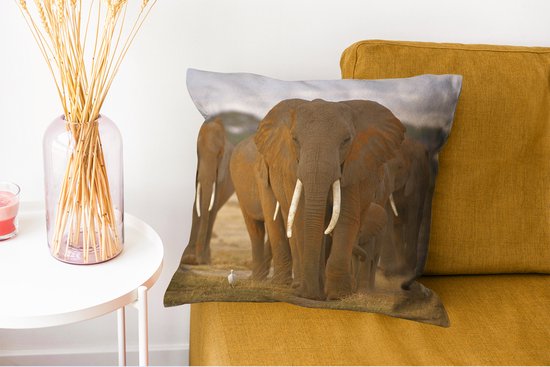 Sierkussen - Herbe Éléphant - Multicolore - 45 Cm X 45 Cm