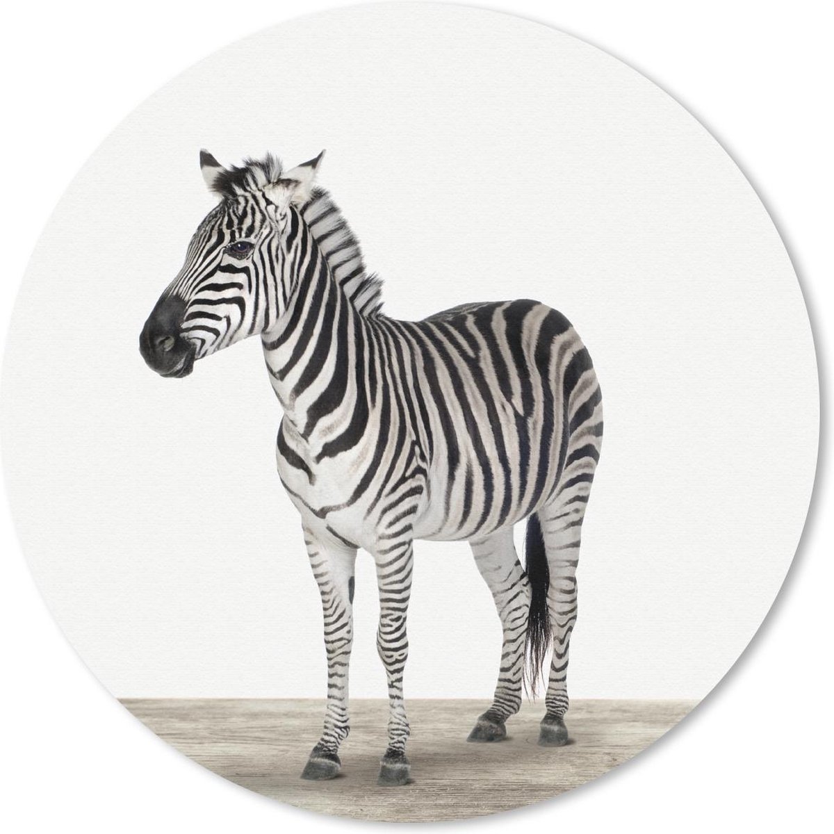 Muismat rond 40x40 cm - Mousepad Dieren - Zebra - Zwart - Wit - Ronde muismatten