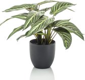 Kunstplant Calathea 38 cm in pot groen
