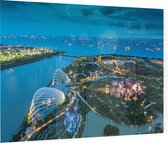 Luchtfoto van de supertrees in de tuinstad van Singapore - Foto op Plexiglas - 90 x 60 cm