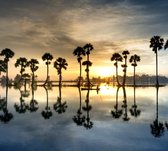 Zon komt op achter de palmen - Fotobehang (in banen) - 350 x 260 cm