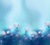 Bloemen in het blauwea licht - Fotobehang (in banen) - 450 x 260 cm