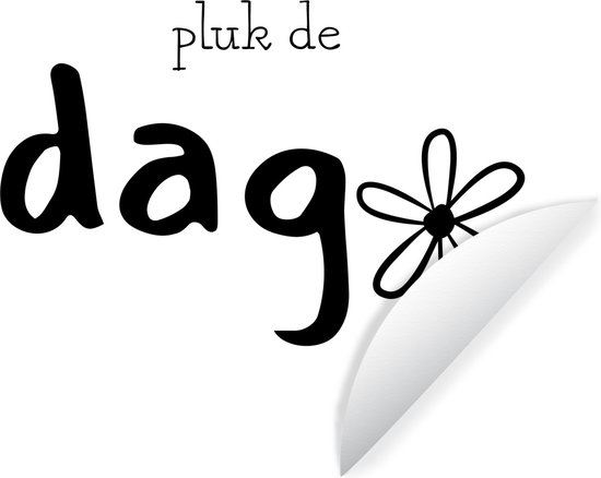 Behangcirkel - Carpe diem - Spreuk - Bloemen - Pluk de dag - ⌀ 140 cm