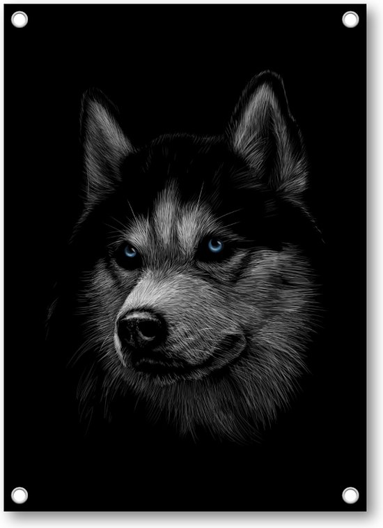 Siberische husky met blauwe ogen - Tuinposter 50x70 - Wanddecoratie - Dieren